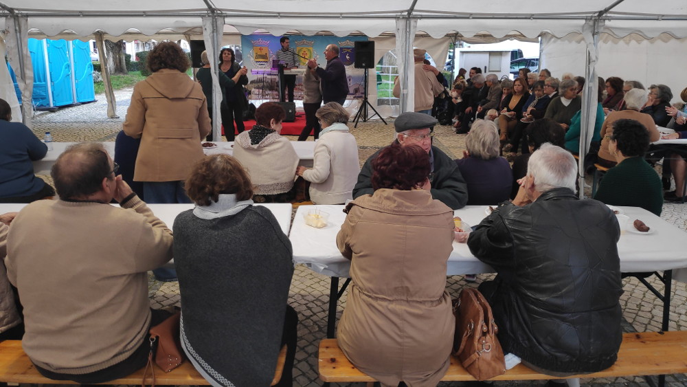 Universidade Sénior promove festa do Magusto na Avenida dos Aviadores