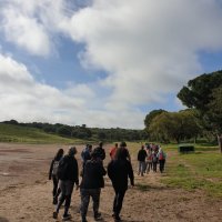 Caminhada "No Trilho do Javali"