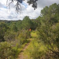 Caminhada "No Trilho do Javali"