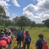 Caminhada "No Trilho do Javali"