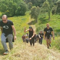 Caminhada "No Trilho do Javali"